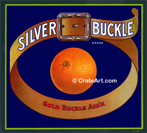 SILVER BUCKLE (O)