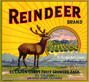 REINDEER (O) #1