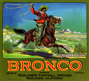 BRONCO (O) #2