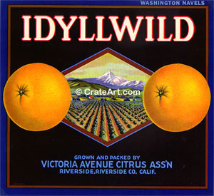 IDYLLWILD (O) #2