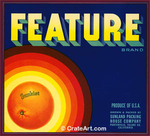 FEATURE (O)