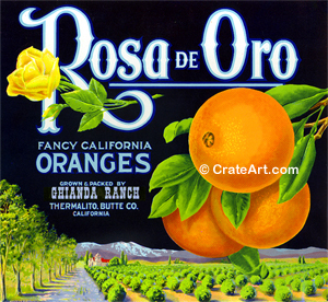 ROSA DE ORO (O)