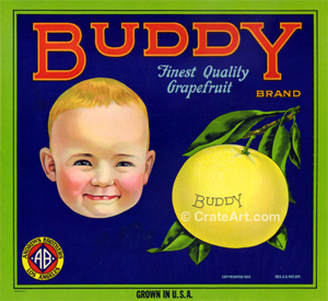 BUDDY (GF)