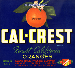 CAL-CREST (O)