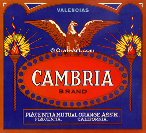 CAMBRIA (O) #2