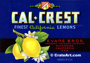 CAL-CREST (L)