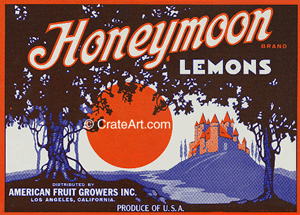 HONEYMOON (L)