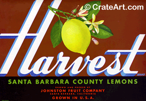 HARVEST (L)