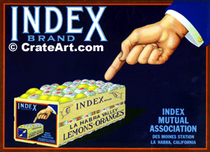INDEX (L)