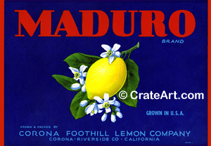 MADURO (L)