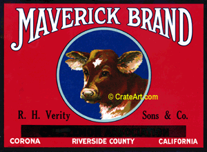 MAVERICK (L)