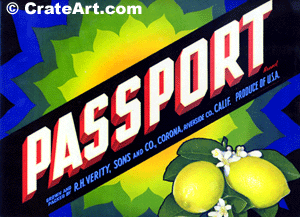 PASSPORT (L)