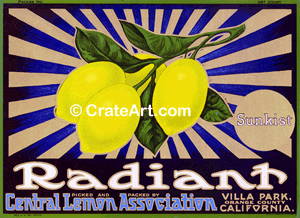 RADIANT (L)