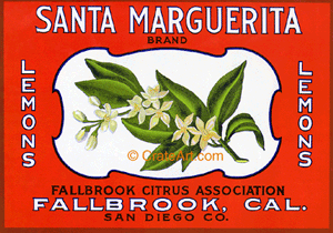 SANTA MARGUERITA (L)