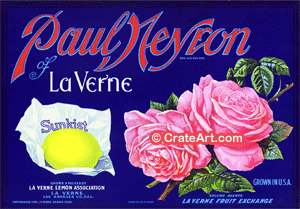 PAUL NEYRON (L)