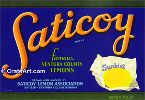 SATICOY (L)
