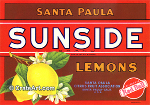 SUNSIDE (L)