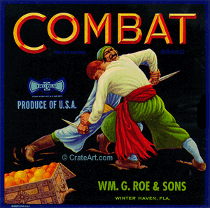 COMBAT (F)