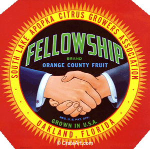 FELLOWSHIP (F)