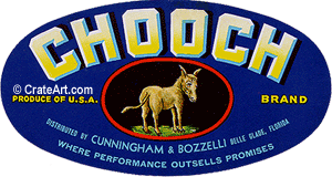 CHOOCH (FS) #1