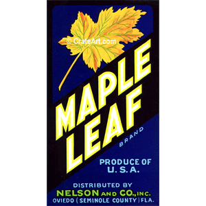 MAPLE LEAF (FS) #2