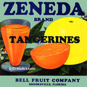 ZENEDA (F)