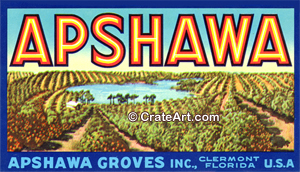 APSHAWA (FS)
