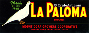 LA PALOMA (FS)