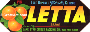 LETTA (FS)