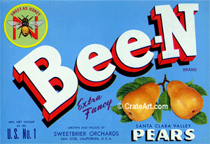 BEE-N (P)