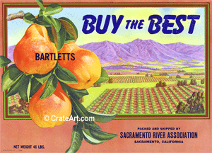BUY THE BEST (P) #1