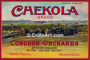 CHEKOLA (P)