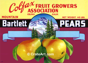 COLFAX (P) #2