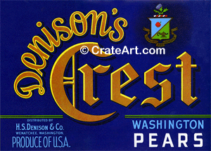 DENISON'S CREST (P)