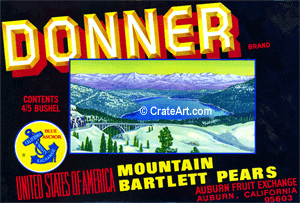 DONNER (P)