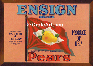ENSIGN (P) #2