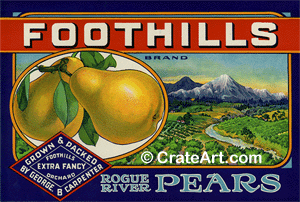 FOOTHILLS (P)