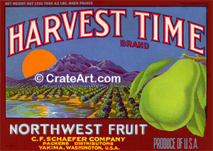 HARVEST TIME (P)