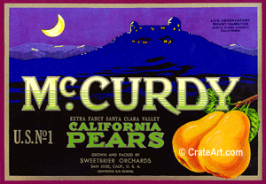 MC CURDY (P)