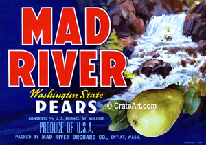 MAD RIVER (P) #1