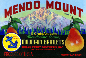 MENDO MOUNT (P)