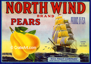 NORTH WIND (P)