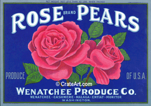 ROSE (P) #2