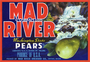 MAD RIVER (P) #2
