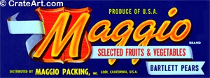 MAGGIO (PL)