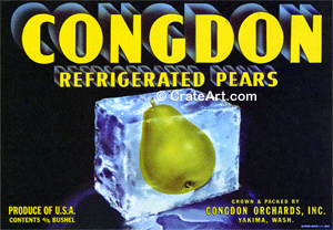 CONGDON (P)