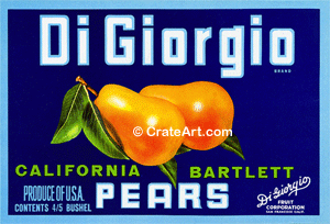 DI GIORGIO (P)