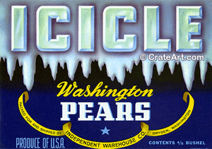 ICICLE (P)