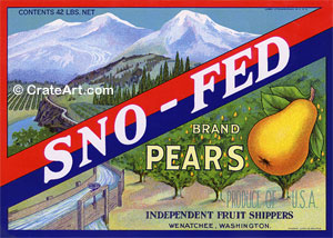 SNO-FED (P) #2