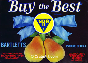 BUY THE BEST (P) #2
